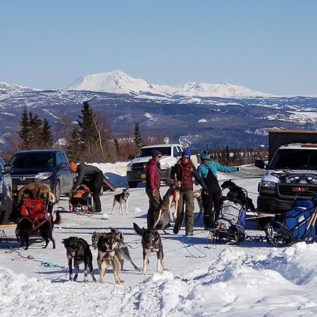 Denali Wild Stay - Bear Cabin With Hot Tub And Free Wifi, Private, Sleep 6 Healy Kültér fotó