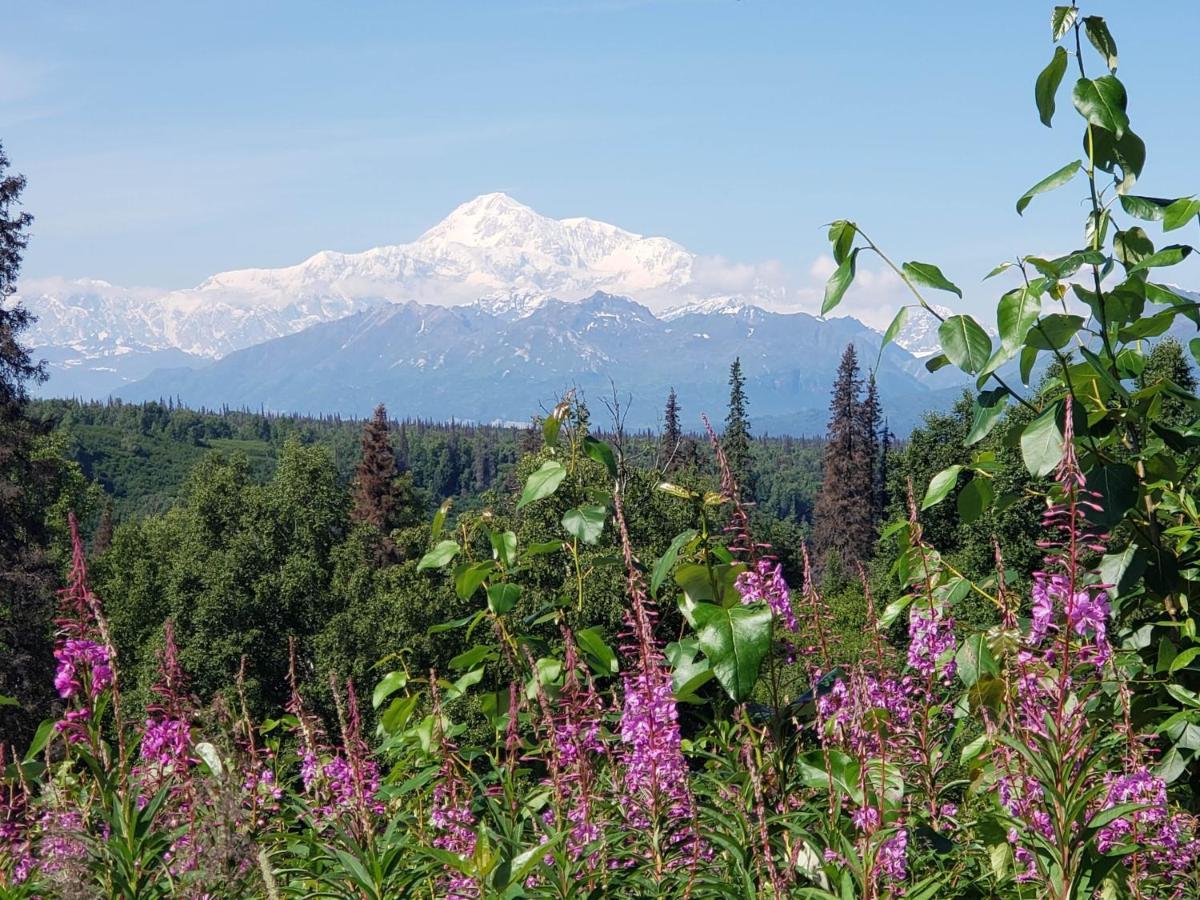 Denali Wild Stay - Bear Cabin With Hot Tub And Free Wifi, Private, Sleep 6 Healy Kültér fotó