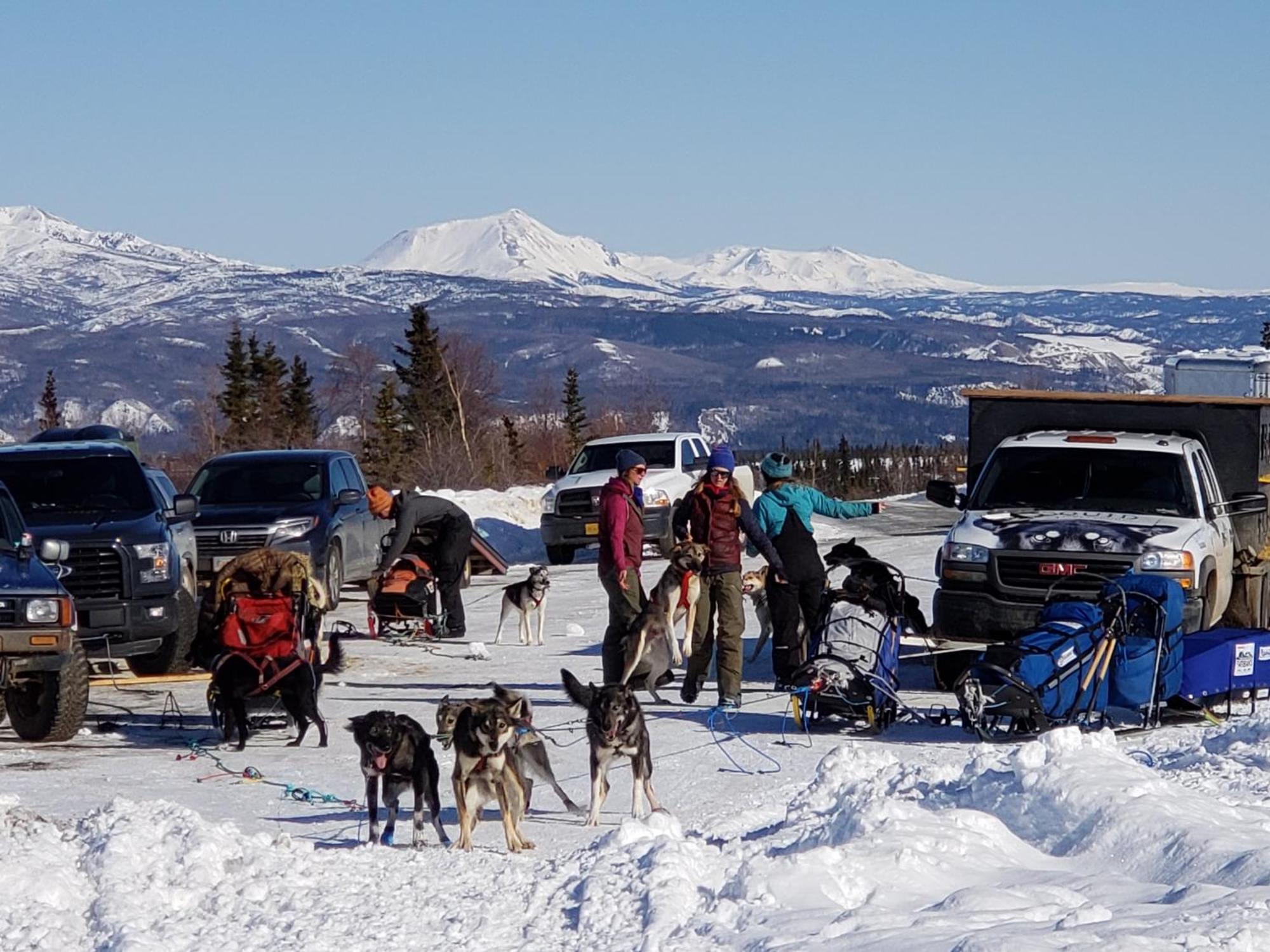 Denali Wild Stay - Bear Cabin With Hot Tub And Free Wifi, Private, Sleep 6 Healy Kültér fotó