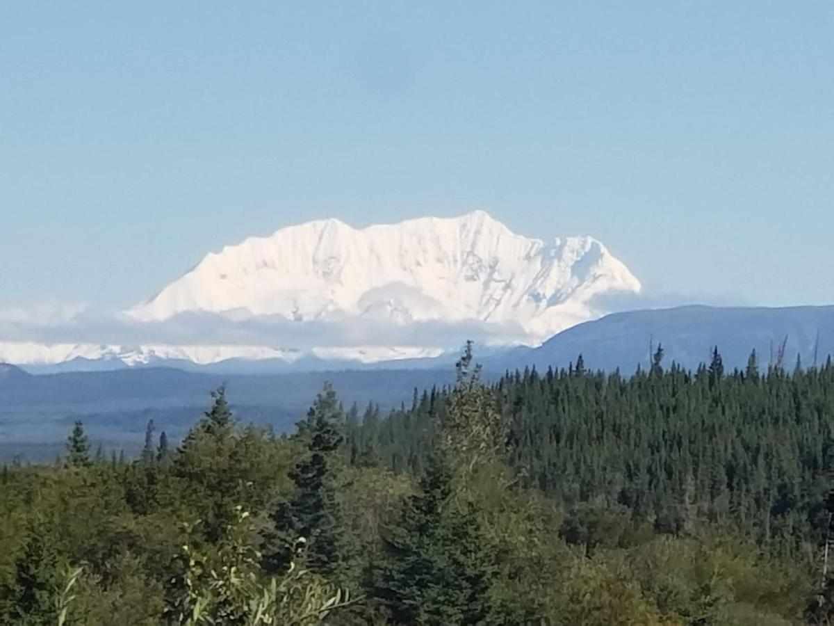 Denali Wild Stay - Bear Cabin With Hot Tub And Free Wifi, Private, Sleep 6 Healy Kültér fotó