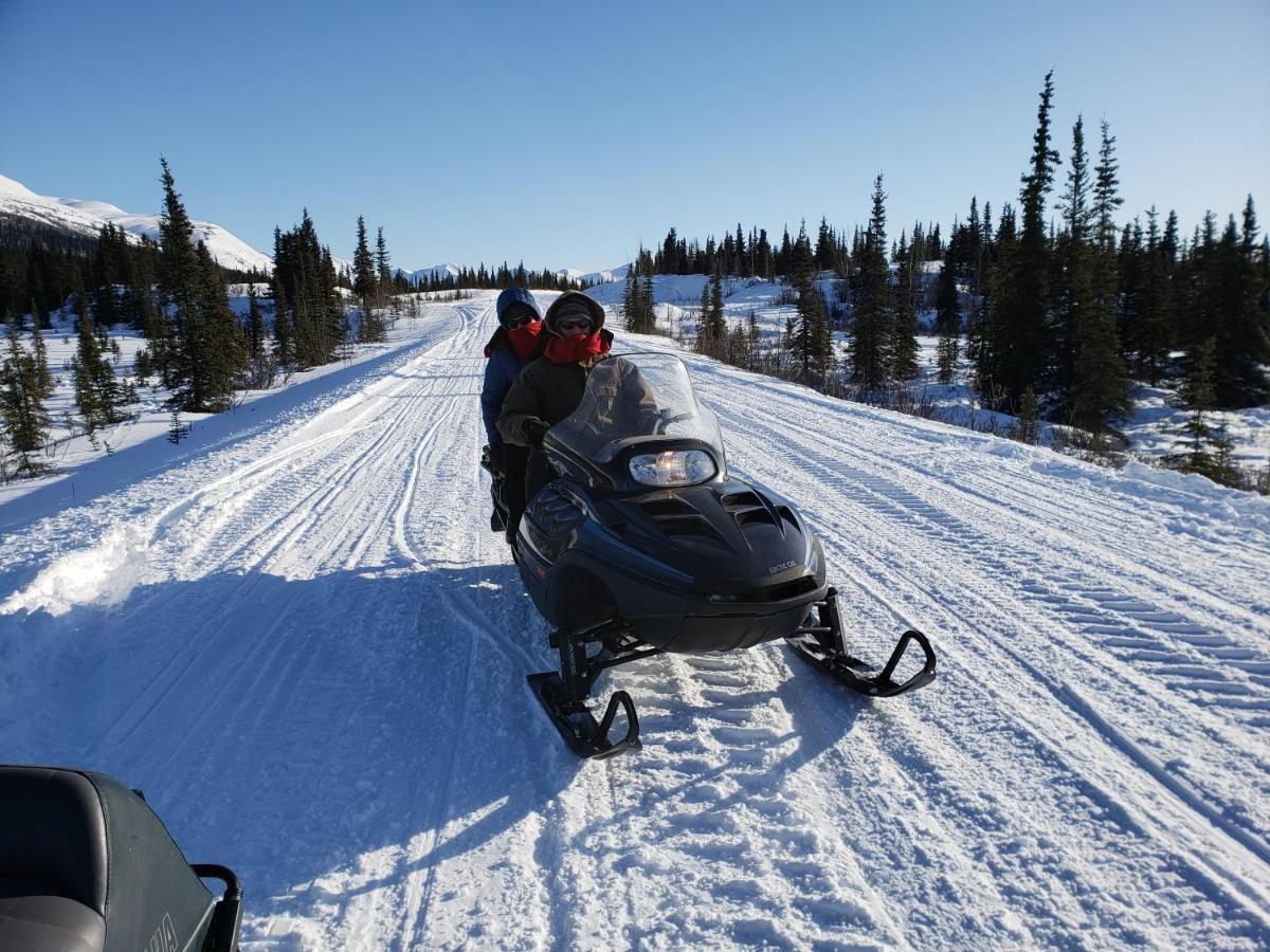 Denali Wild Stay - Bear Cabin With Hot Tub And Free Wifi, Private, Sleep 6 Healy Kültér fotó