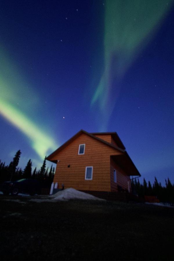 Denali Wild Stay - Bear Cabin With Hot Tub And Free Wifi, Private, Sleep 6 Healy Kültér fotó