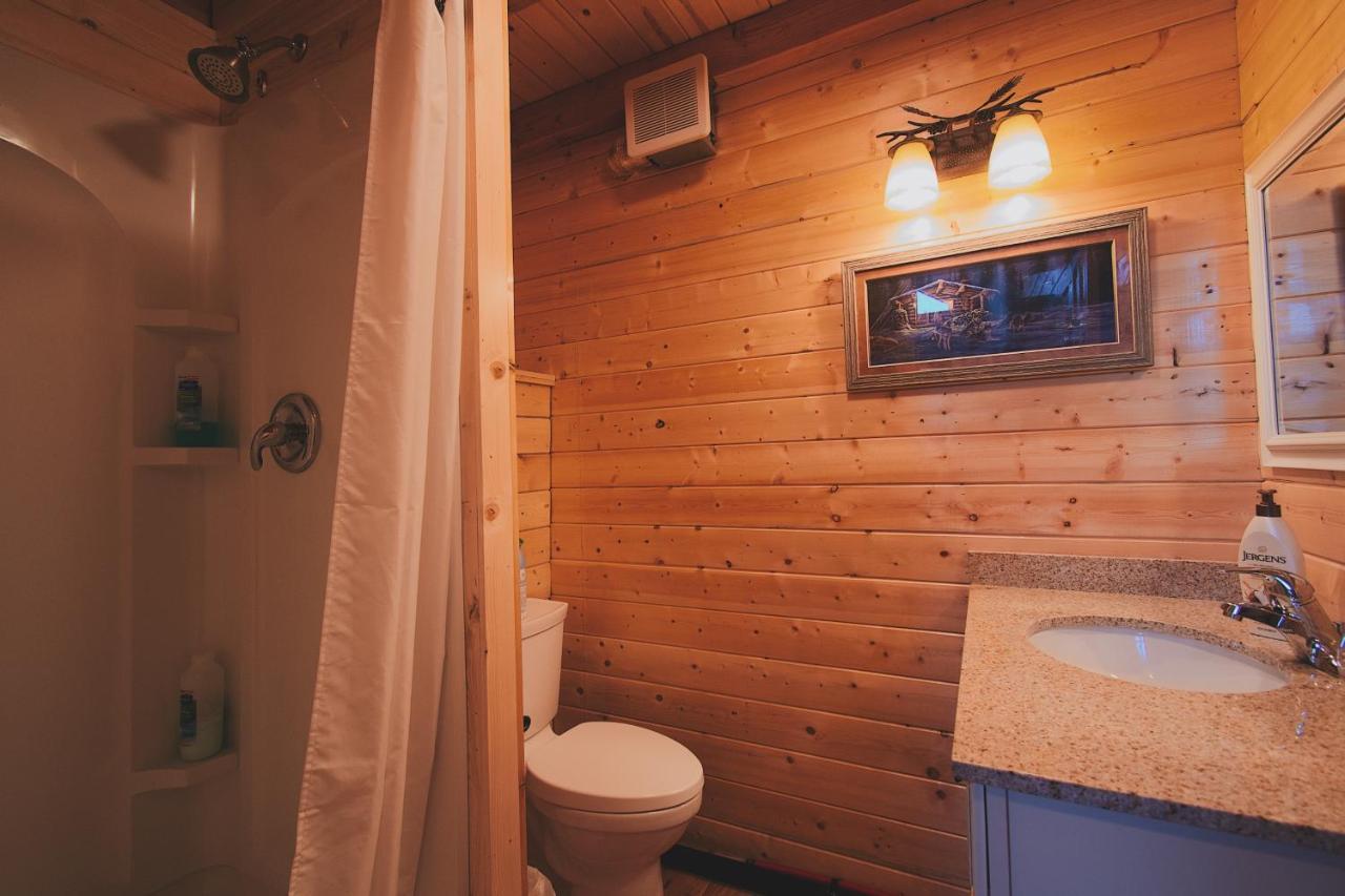 Denali Wild Stay - Bear Cabin With Hot Tub And Free Wifi, Private, Sleep 6 Healy Kültér fotó