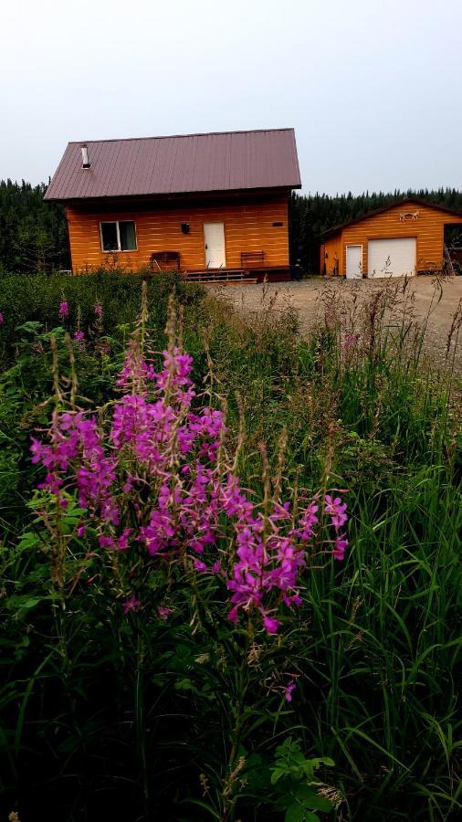 Denali Wild Stay - Bear Cabin With Hot Tub And Free Wifi, Private, Sleep 6 Healy Kültér fotó